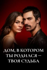 Мой дом